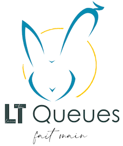 LT Queues